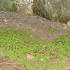 Достопримечательности Южного Казахстана