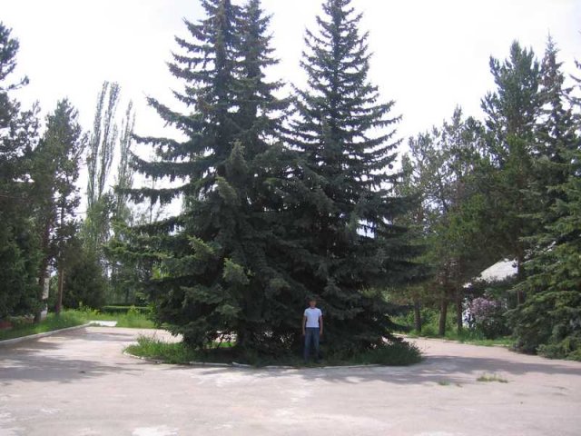 Озеро Иссык-Куль
