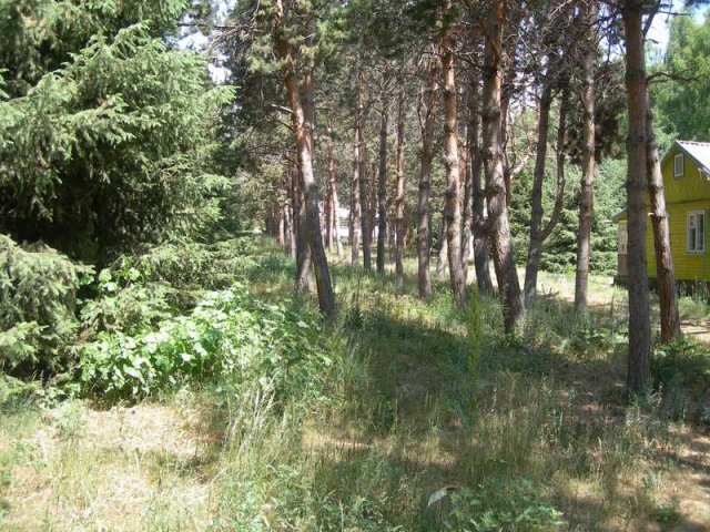 Озеро Иссык-Куль