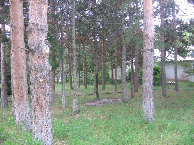 Озеро Иссык-Куль