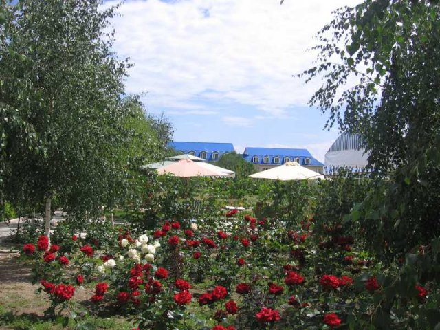 Озеро Иссык-Куль