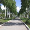 Озеро Иссык-Куль