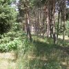 Озеро Иссык-Куль