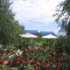 Озеро Иссык-Куль