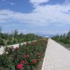 Озеро Иссык-Куль