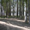 Озеро Иссык-Куль