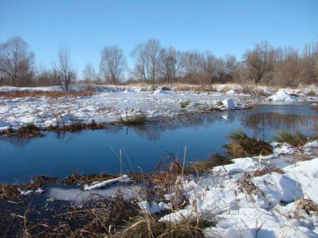 Река Арысь