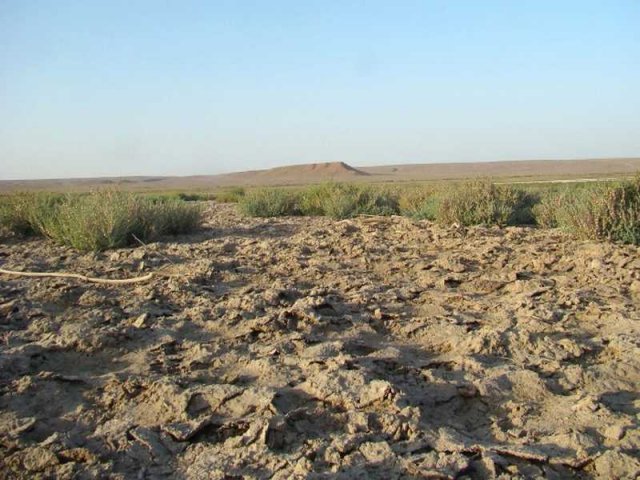 Кызылколь