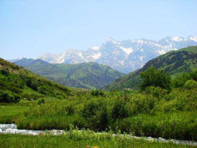 Заповедник Аксу Жабаглы в ЮКО