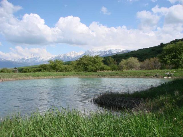 Предгорья Западного Тянь-Шаня