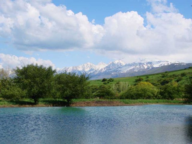 ЮКО