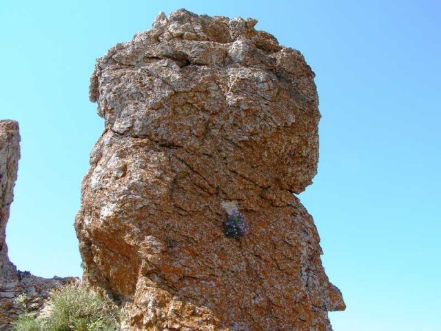 Лики природы