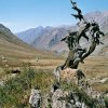 Горы и пейзажи