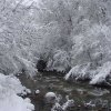 Горная река зимой