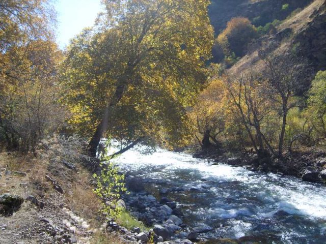 Природа ЮКО, Угам